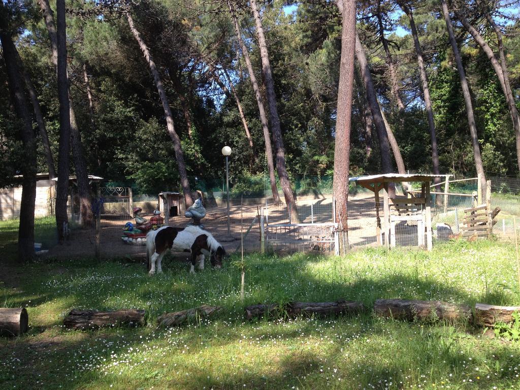 Stella Maris Otel Cervia Dış mekan fotoğraf